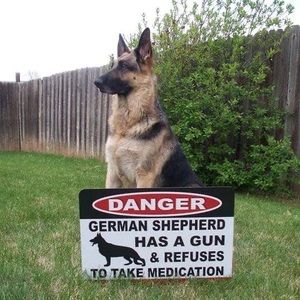 Meet your Posher, Joe